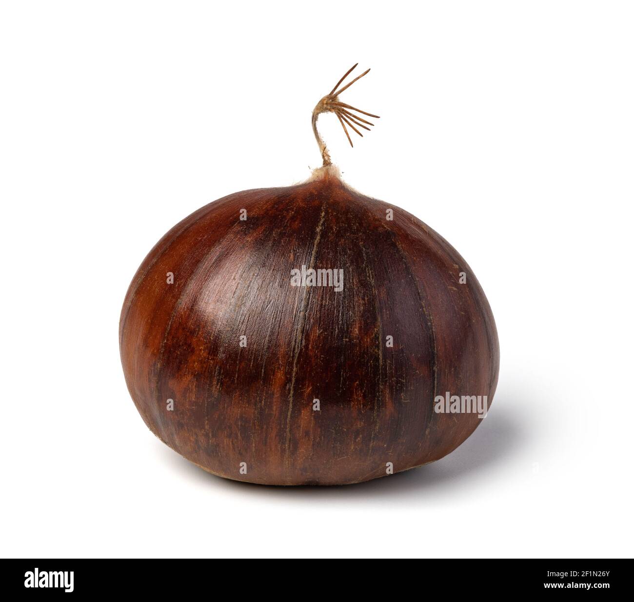 Chestnuts on a white background Stock Photo