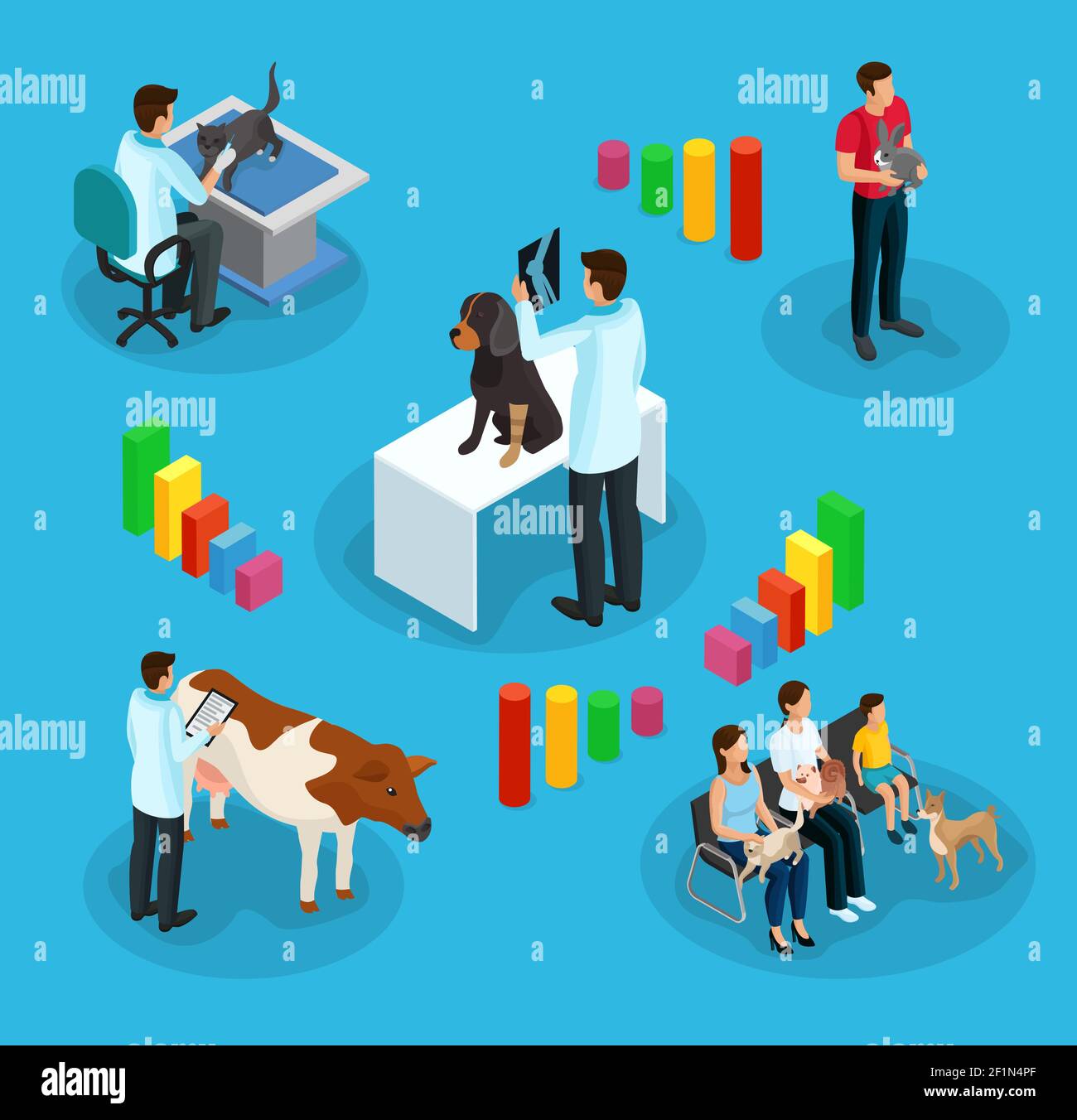 Isometric veterinary infographic concept with veterinarians treat