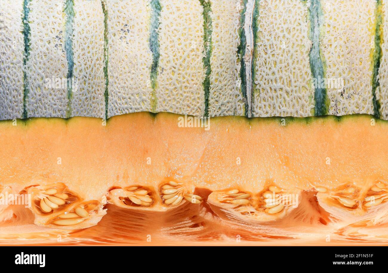 Flat texture of chopped cantaloupe fruit. Stock Photo