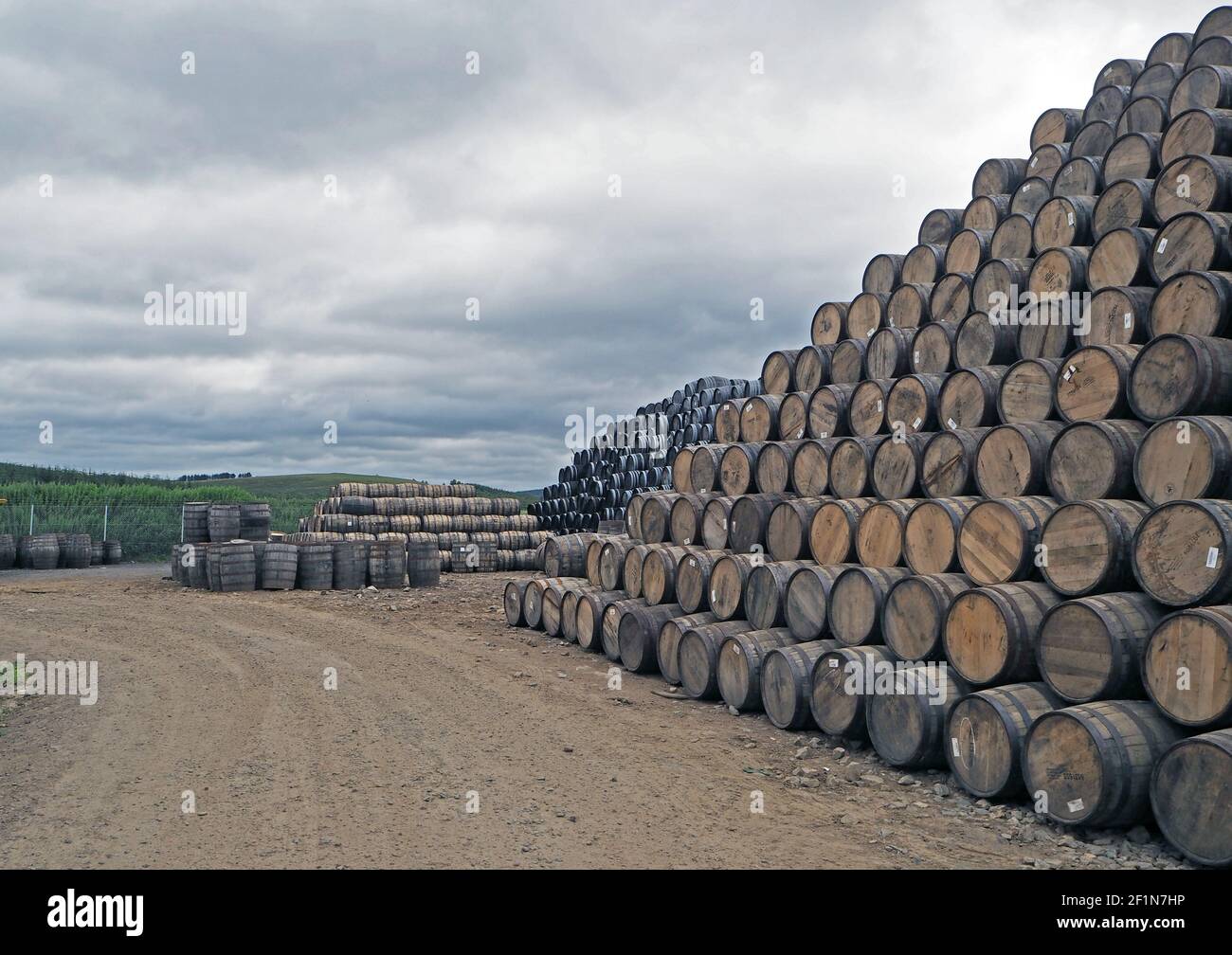 Scotland, Speyside Cooperage in Craigellachie where thousands of scotch whisky casks are refurbished and repaired for use by the distilleries. Stock Photo