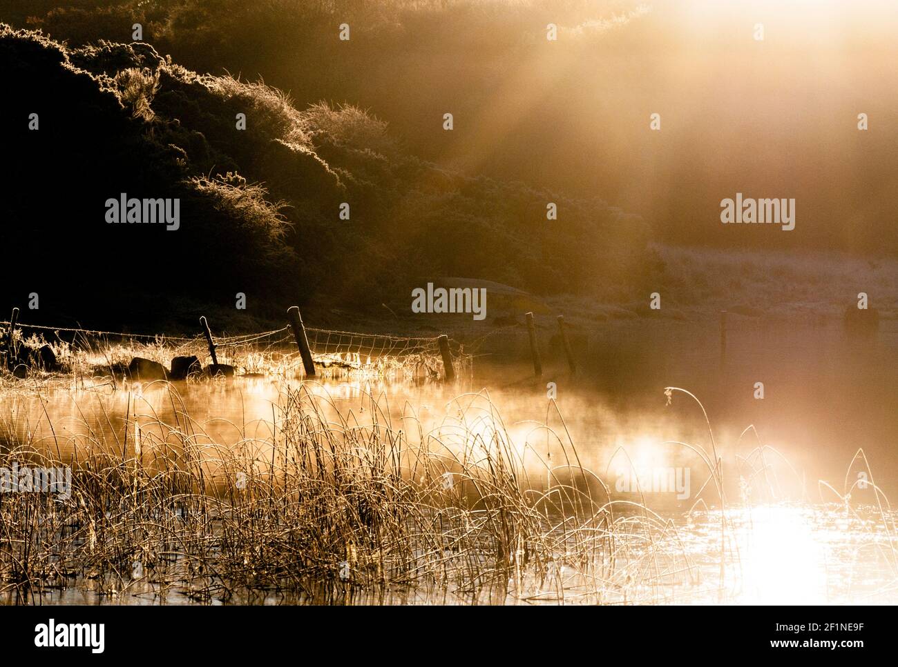 Early morning winter sunrise over a misty, mysterious lake, County Donegal, Ireland Stock Photo