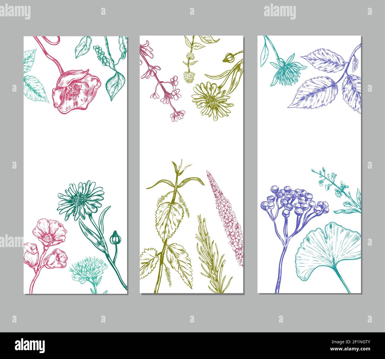 Sketch herbal vertical banners with medicinal organic herbs valuable for human health Stock Vector
