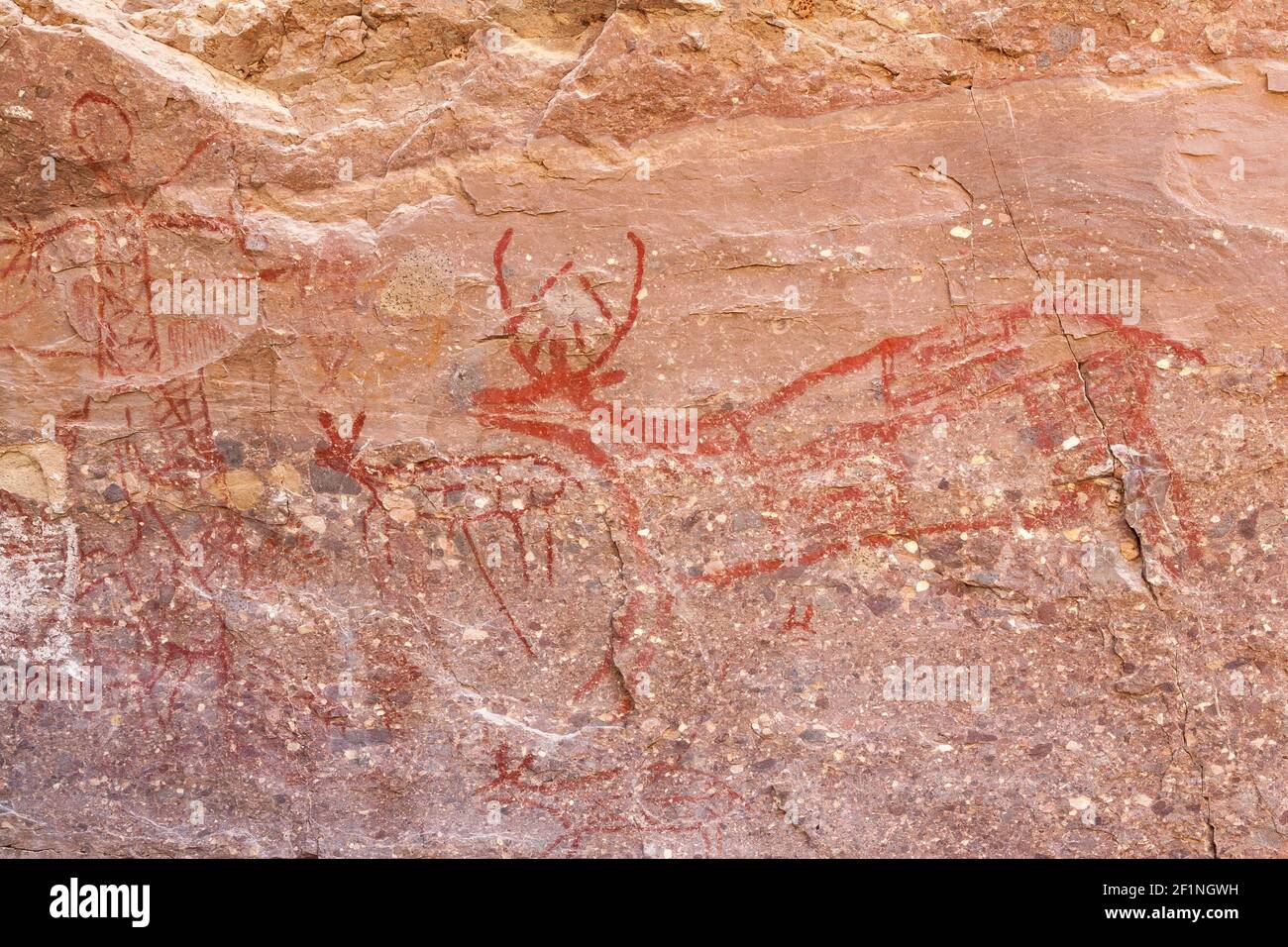 Prehistoric rock painting of the Trinidad deer in Canon La Trinidad near Mulege, Baja California Sur, Mexico Stock Photo