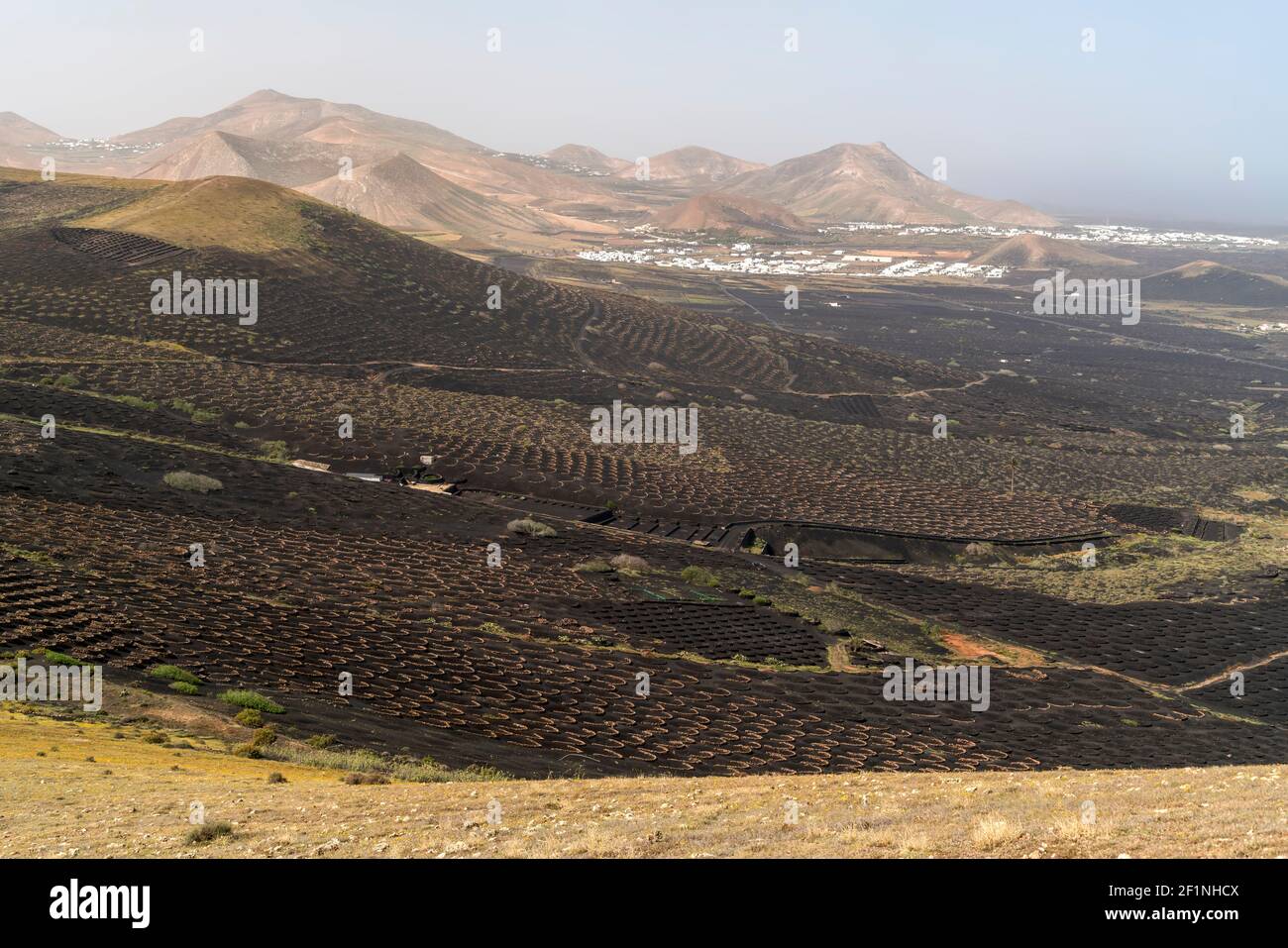 Landschaft mit Trockenfeldbau von Wein bei La Geria, Insel Lanzarote, Kanarische Inseln, Spanien |  Landscape with dryland wine farming near La Geria Stock Photo
