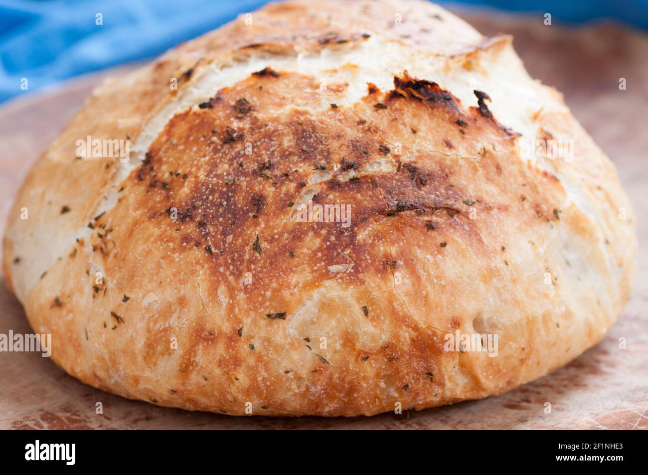 rosemary and garlic overnight bread hand made at home ina dutch oven