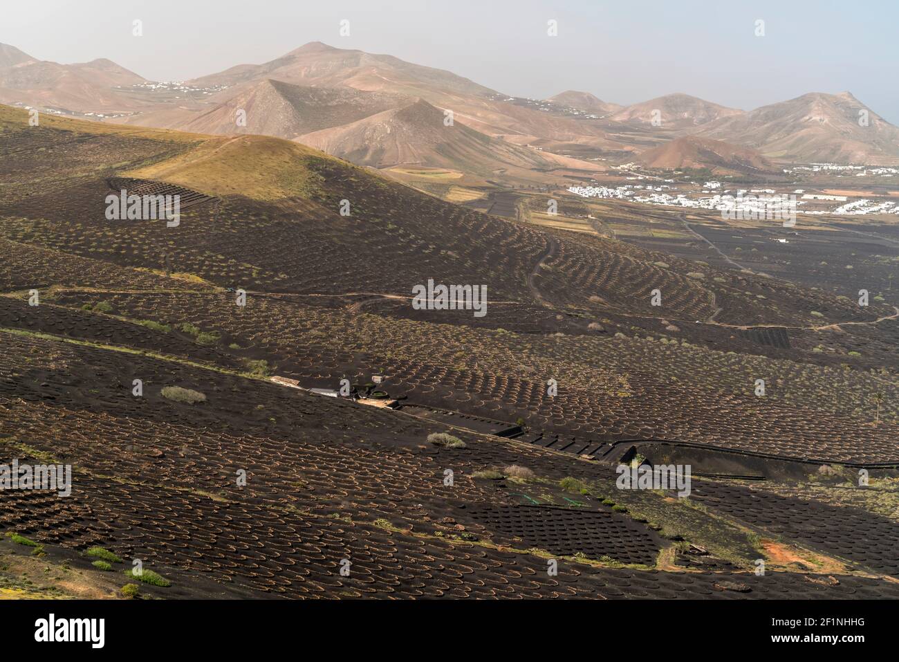Landschaft mit Trockenfeldbau von Wein bei La Geria, Insel Lanzarote, Kanarische Inseln, Spanien |  Landscape with dryland wine farming near La Geria Stock Photo