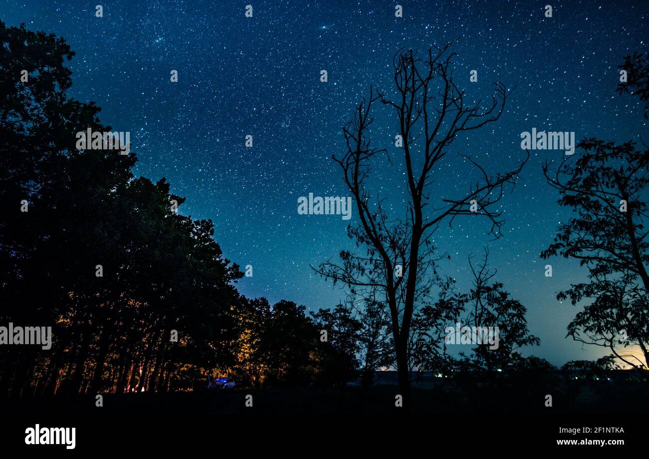 Starry sky over forest hi-res stock photography and images - Alamy