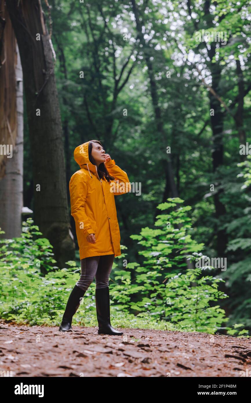woman in yellow raincoat walking by rainy forest. rear view. copy space ...