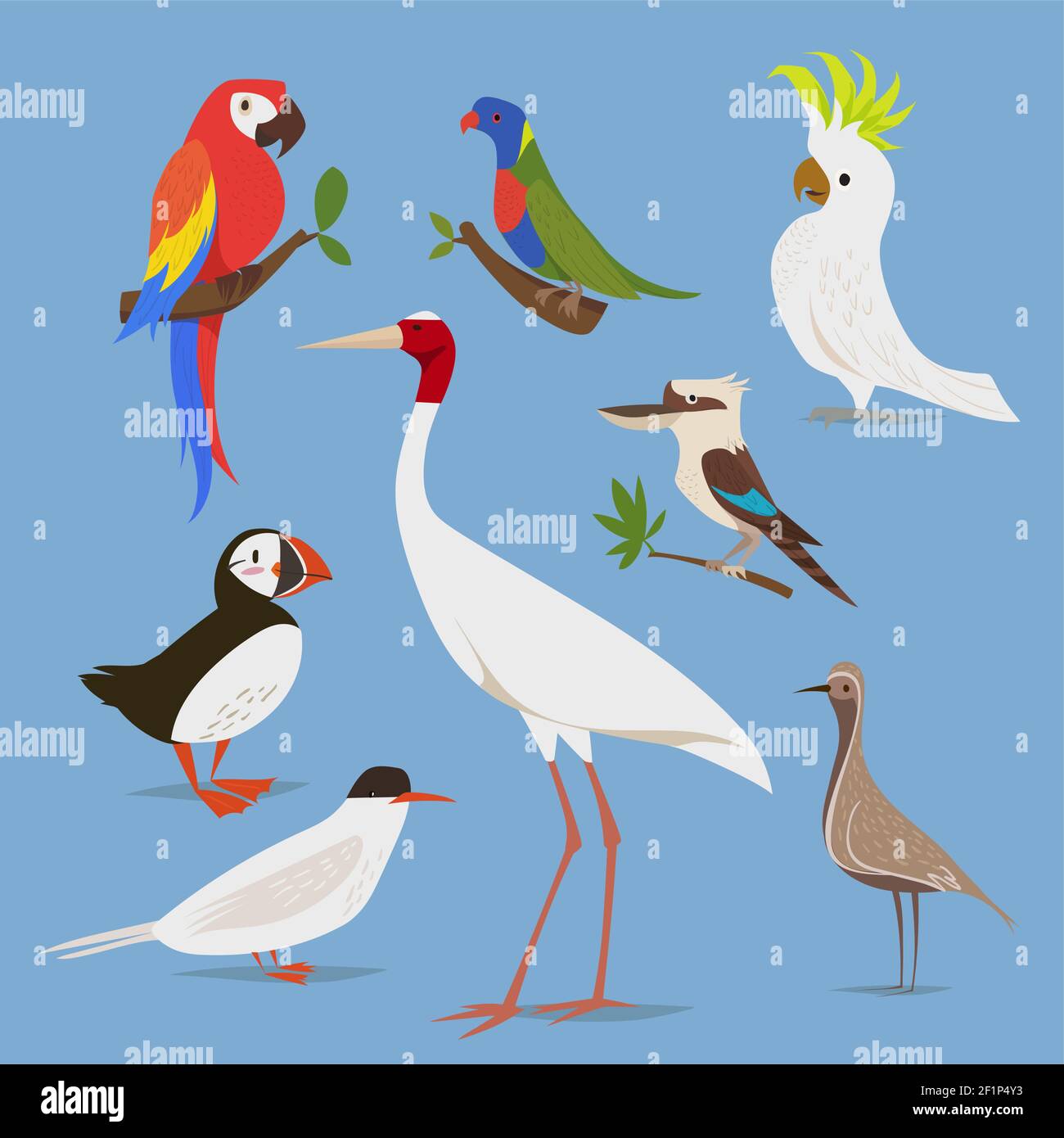 Vector illustration of birds from different continents Stock ...