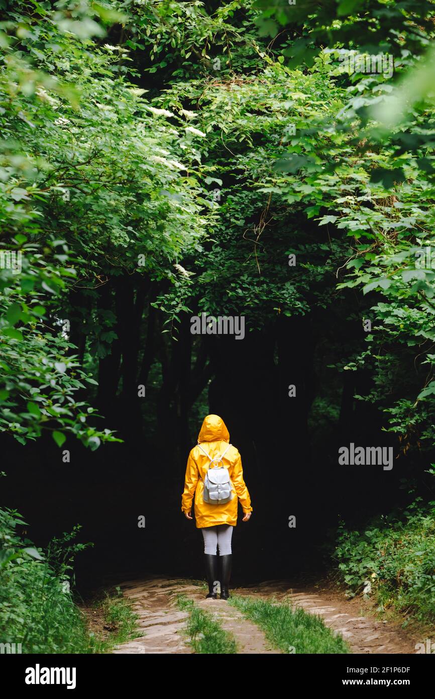 woman in yellow raincoat walking by rainy forest. rear view. copy space ...