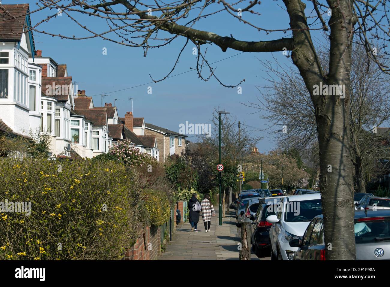 two women walk along a street lined by bay fronted houses and parked cars during early spring in teddington, middlesex, ebngland Stock Photo