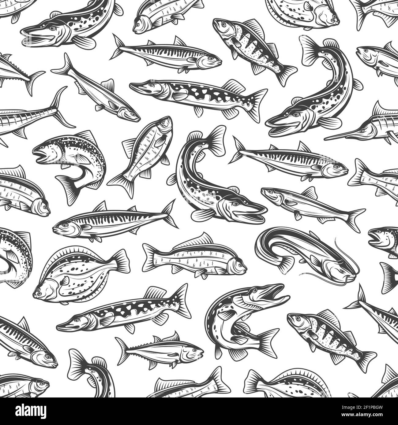 Sea and river fishes seamless pattern. Pike, carp and perch, mackerel, salmon and sardine, tuna, sheatfish and marlin, flounder vector. Seafood, fishi Stock Vector