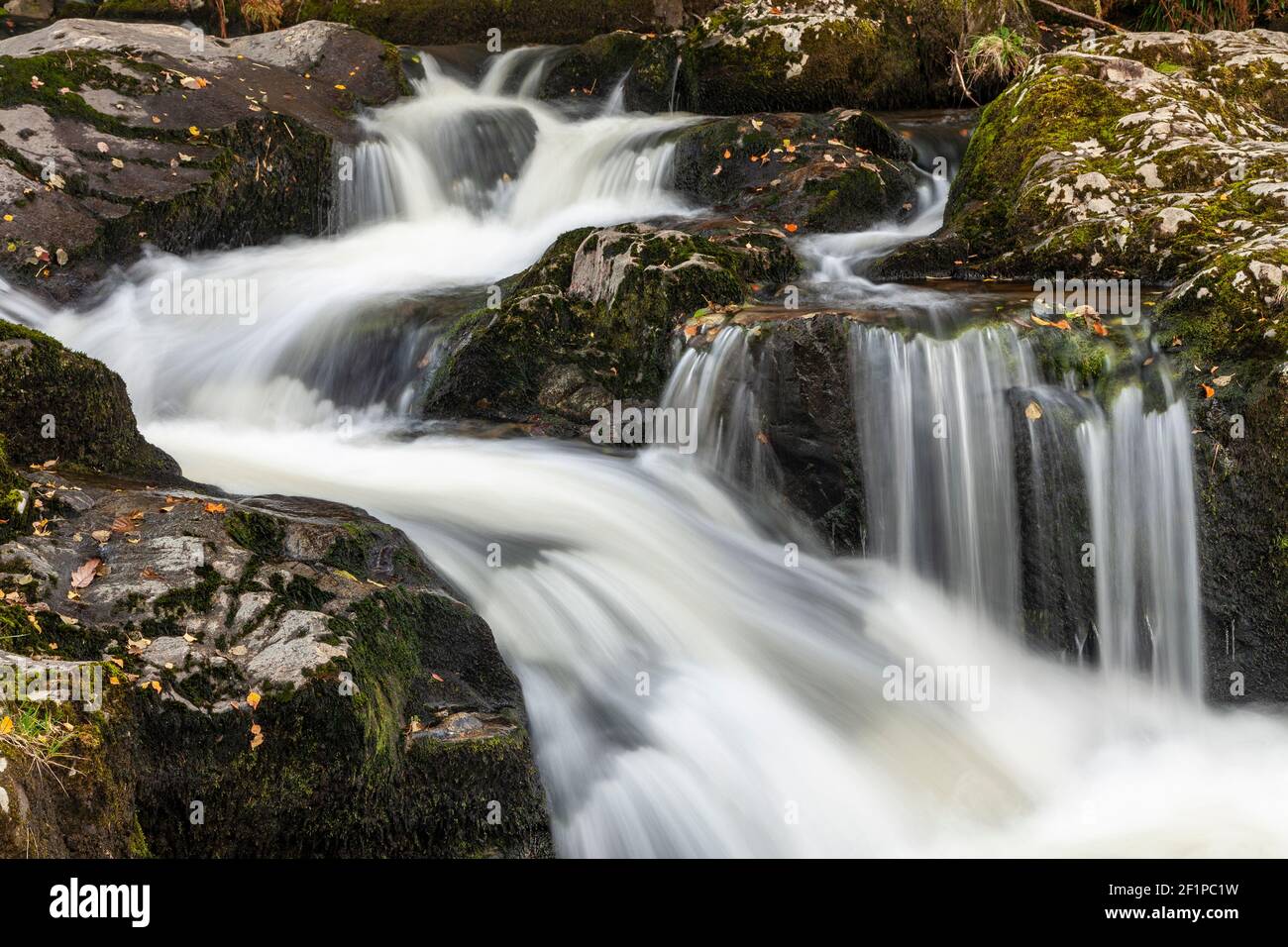 Aira Force waterfalls in autumn, Lake District, Cumbria, England Stock Photo