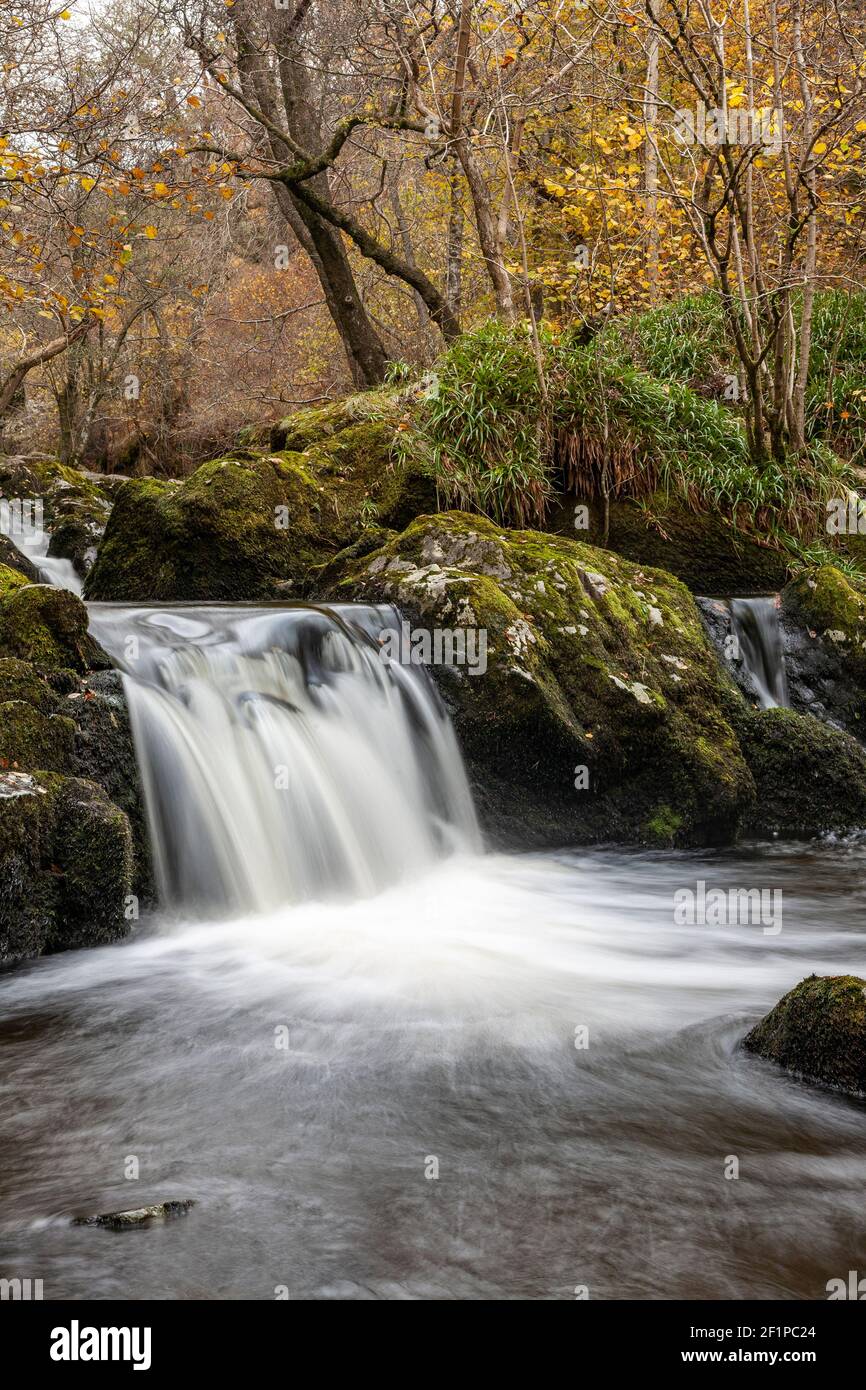 Aira Force waterfalls in autumn, Lake District, Cumbria, England Stock Photo