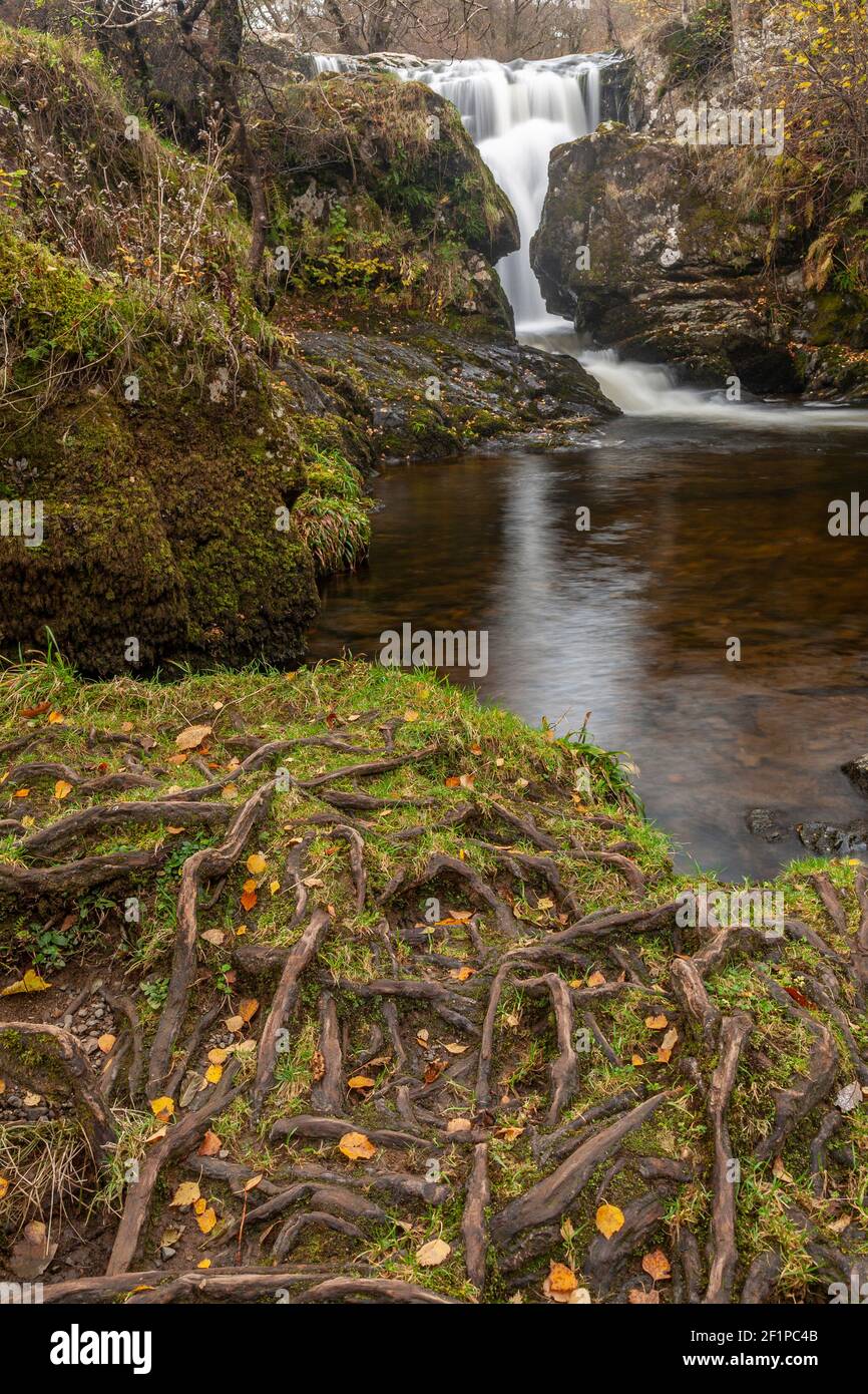 Aira Force waterfalls in autumn, Lake District, Cumbria, England Stock Photo