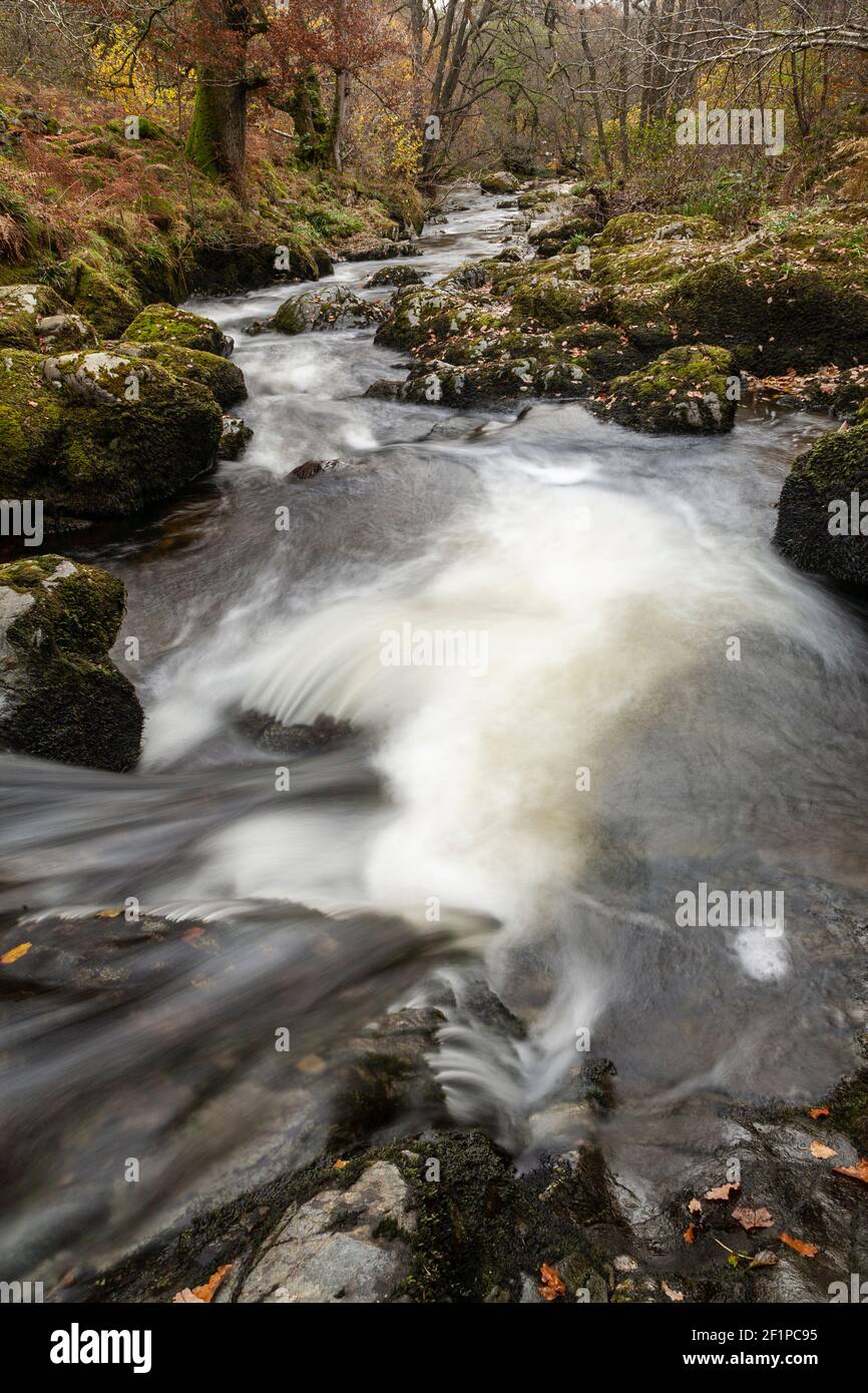 Aira Force waterfalls in autumn, Lake District, Cumbria, England Stock Photo