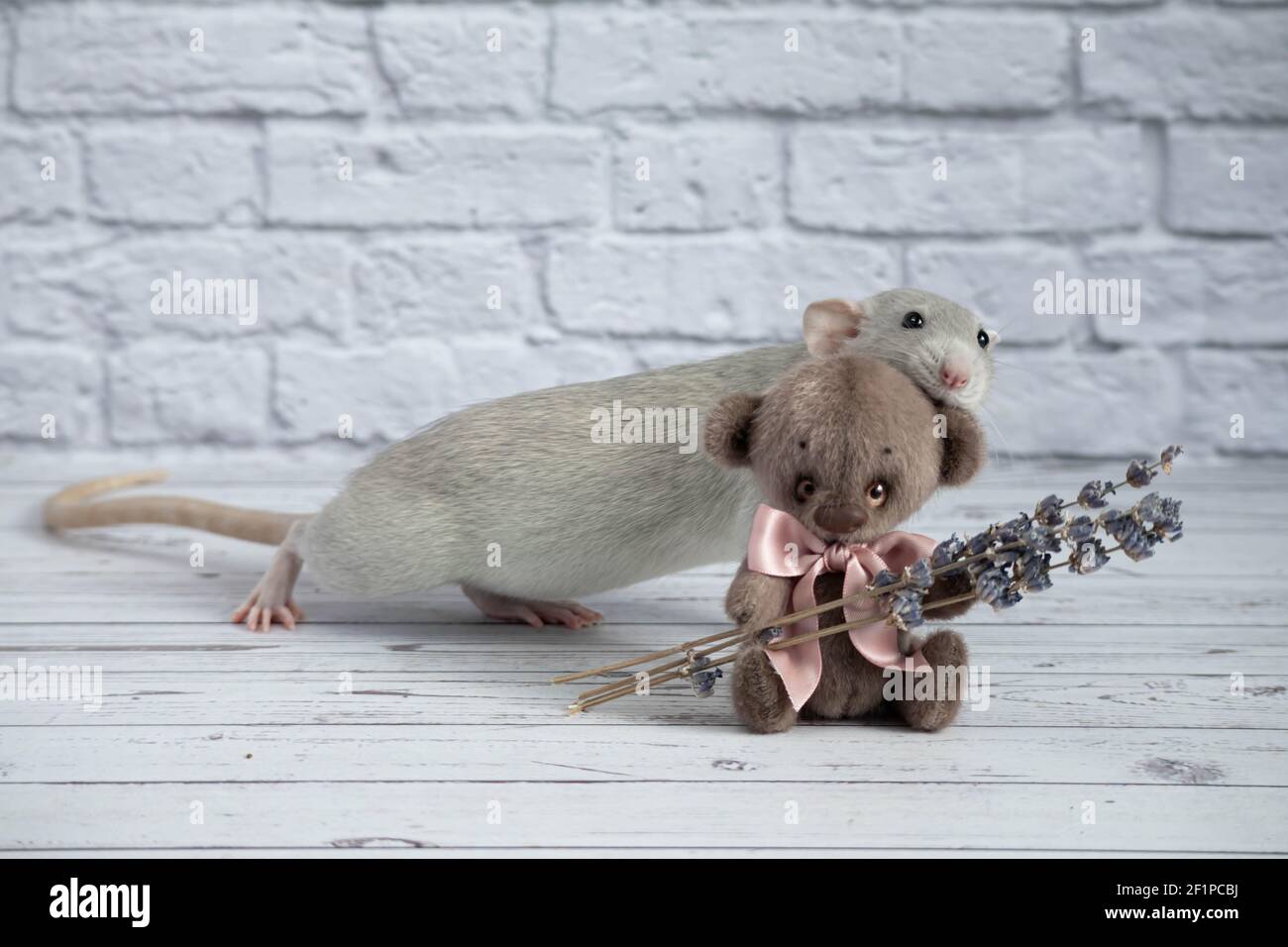 Rat teddy cheap bear
