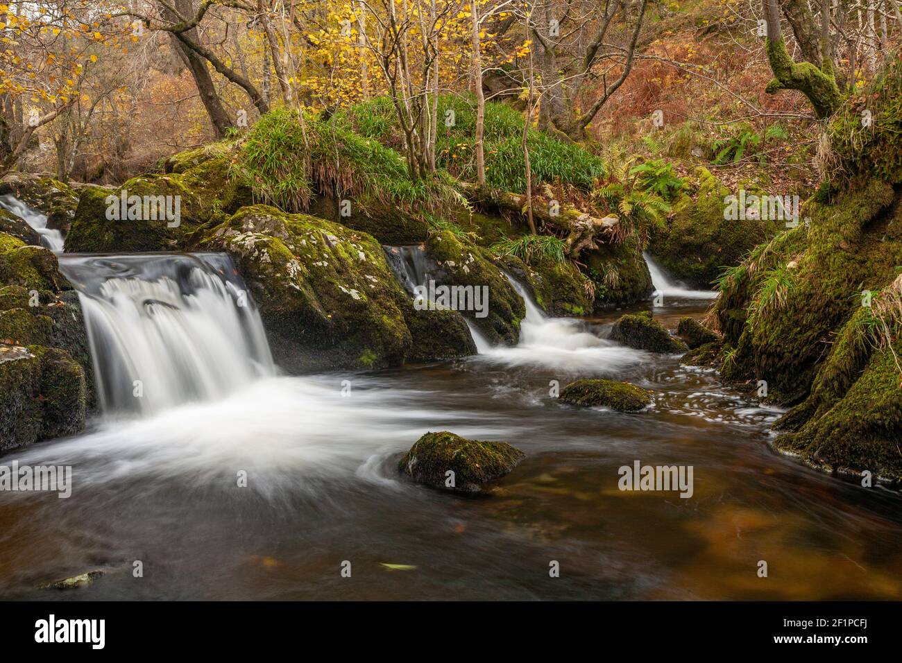 Aira Force waterfalls in autumn, Lake District, Cumbria, England Stock Photo