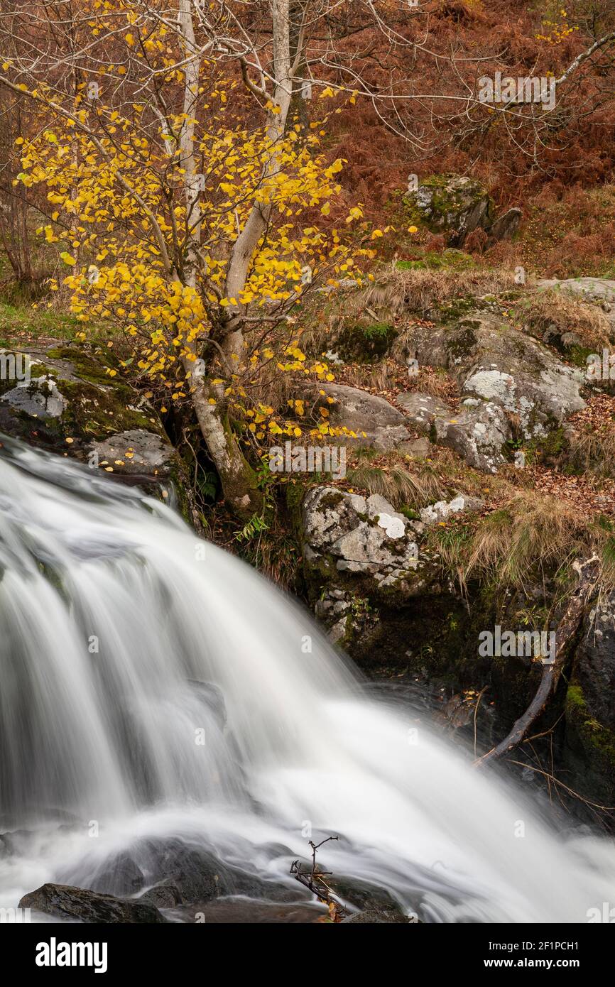 Aira Force waterfalls in autumn, Lake District, Cumbria, England Stock Photo