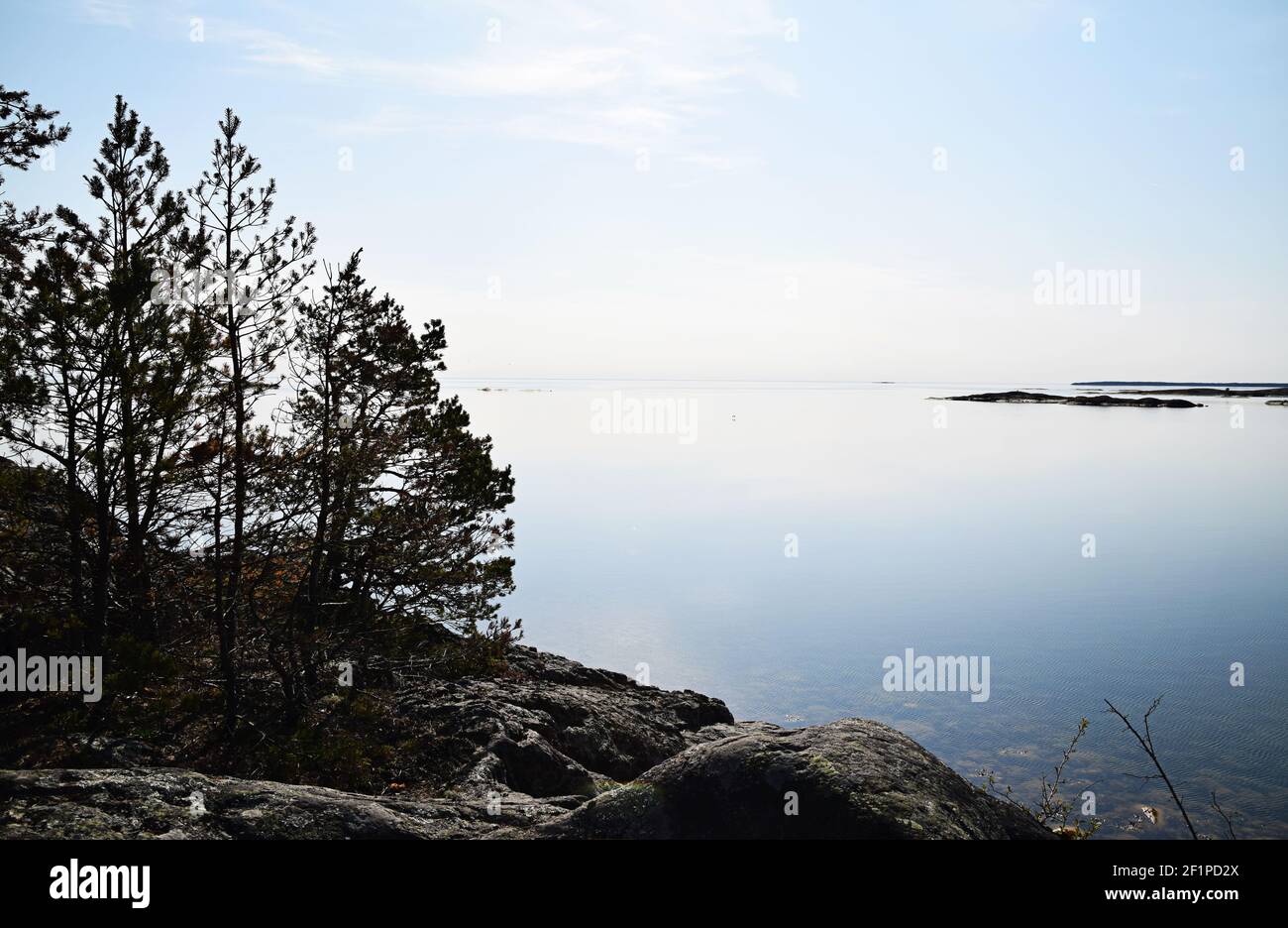 Beautiful day outdoors in the Swedish archipelago. Trees on the rock and calm water at sea. No people around this sunny day in Sweden. Stock Photo