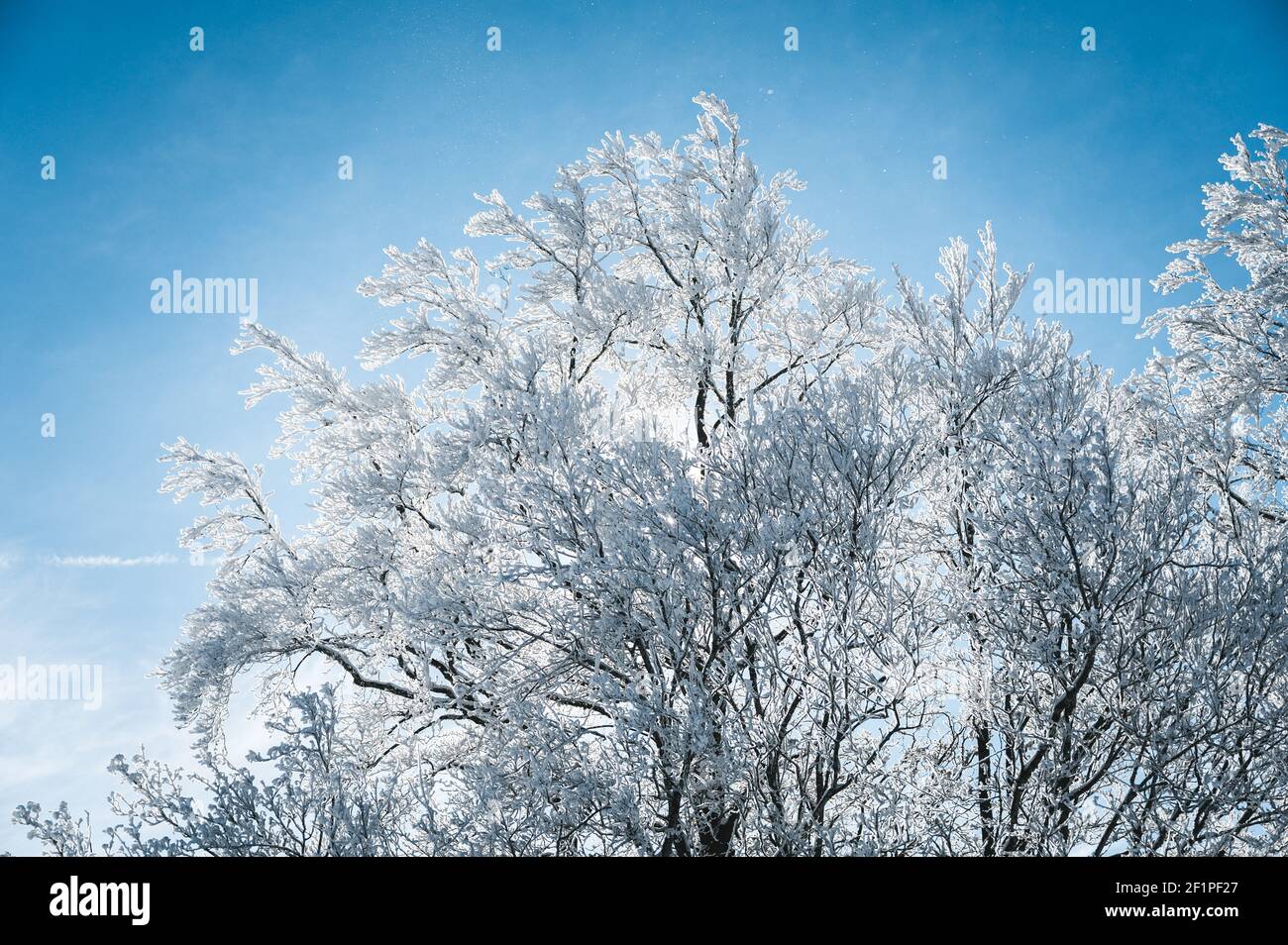 dreamy winter landscape in Les Prés d'Orvin, Swiss Jura Stock Photo