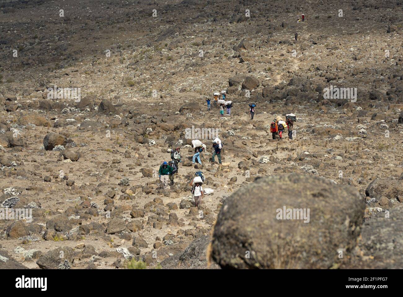 porters crossing Shira-Plateau on their way up to MOUNT KILIMANJARO, Tanzania, Africa  Traeger durchqueren das Shira-Plateau am Kilimanjaro,Tansania, Stock Photo
