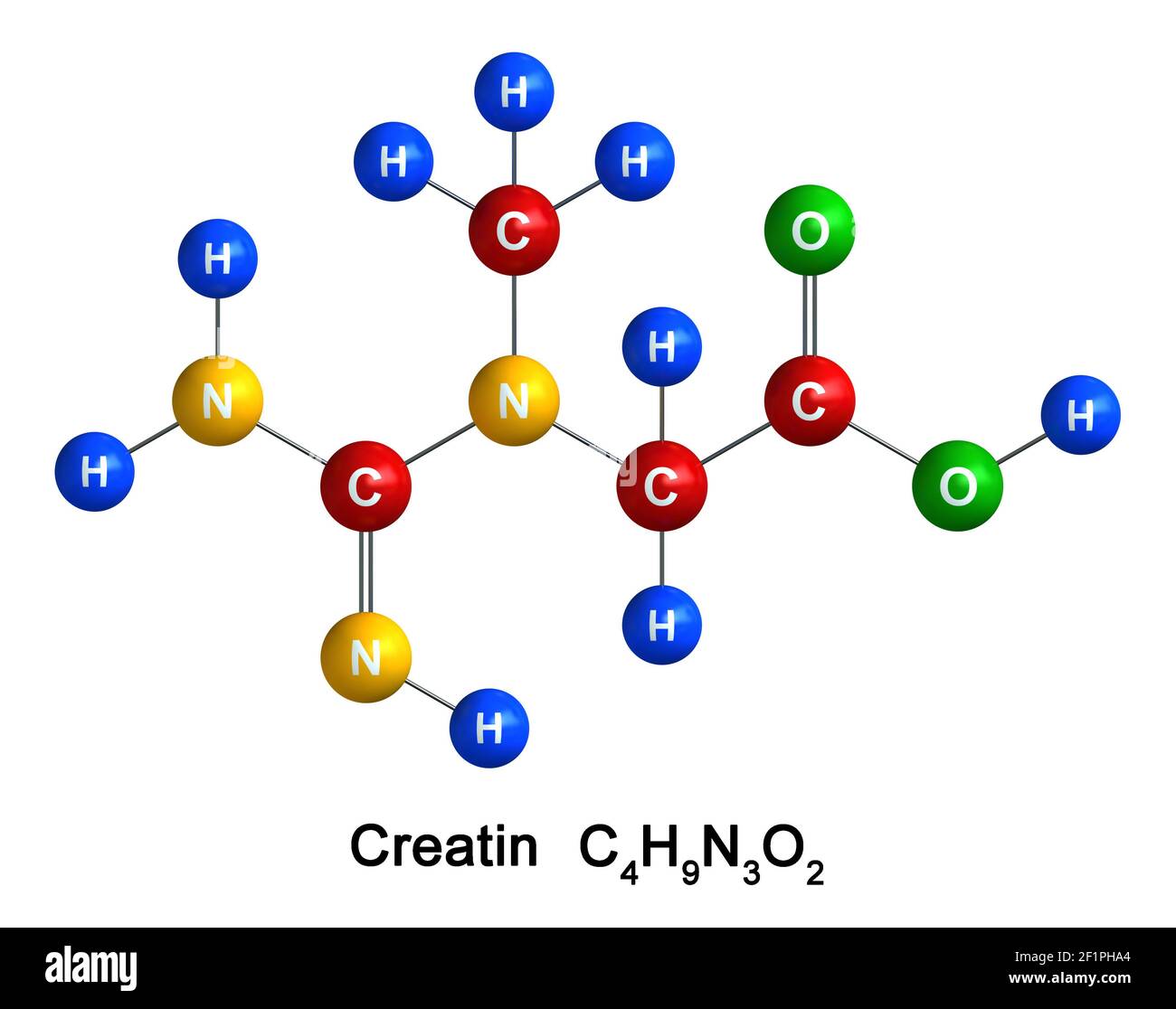 3d render of molecular structure of creatin isolated over white