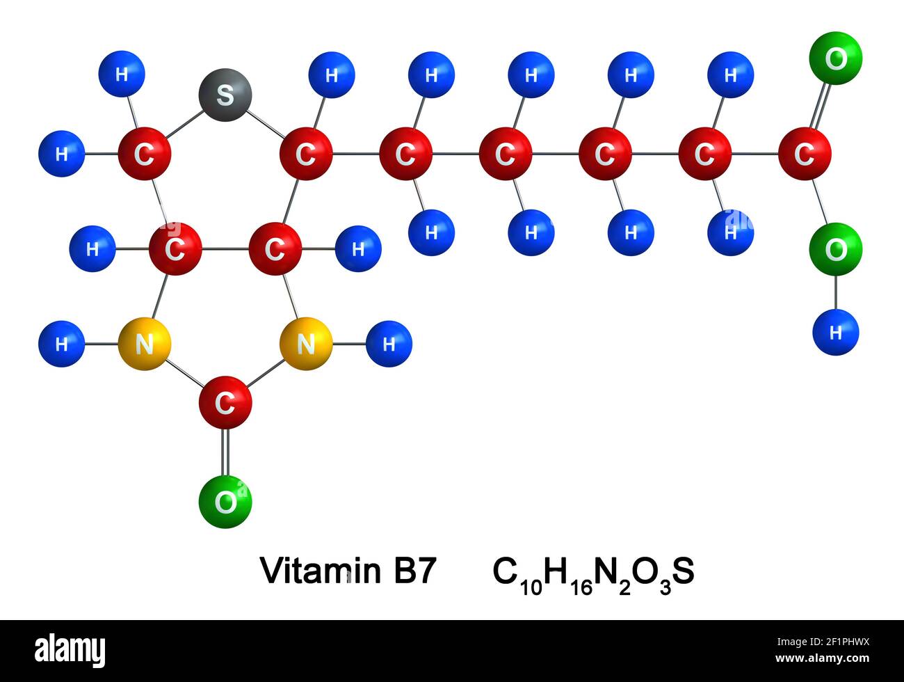 Vitamin b7 hires stock photography and images Alamy