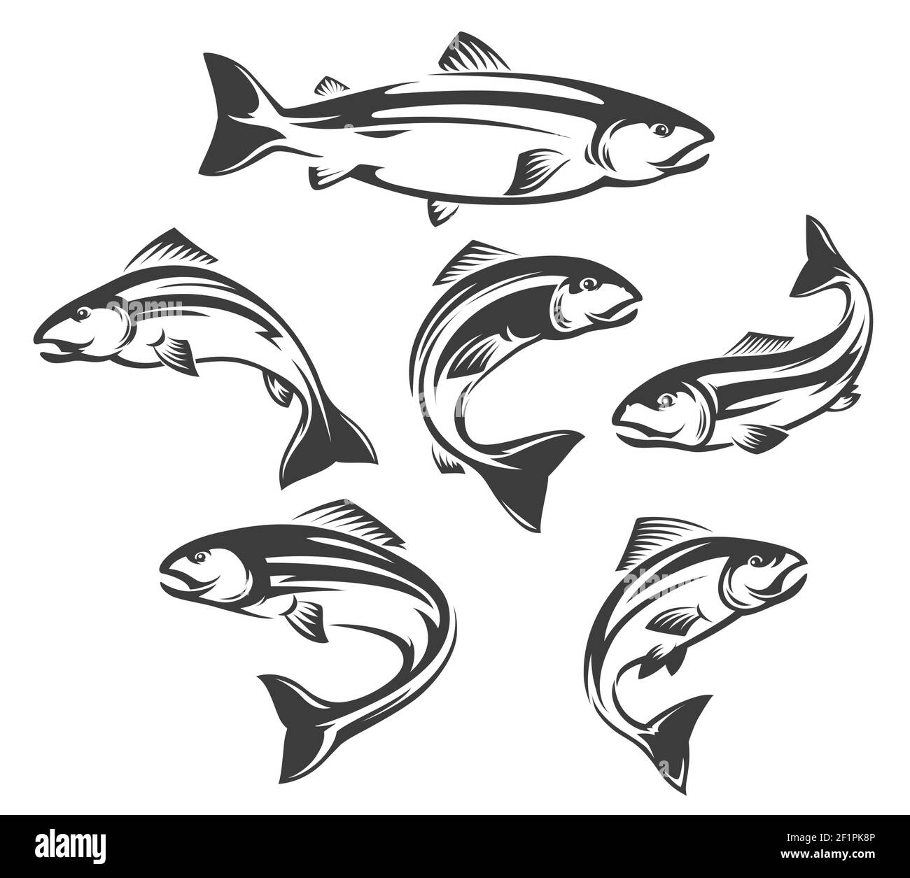 Coho Salmon Line Drawing