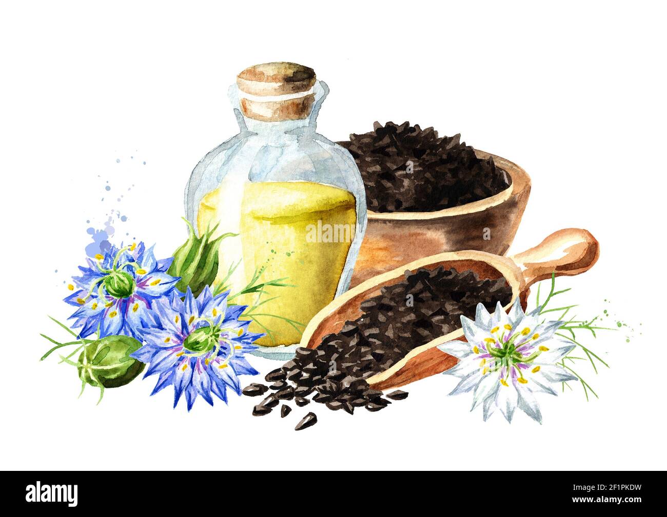 Bunium persicum hires stock photography and images Alamy