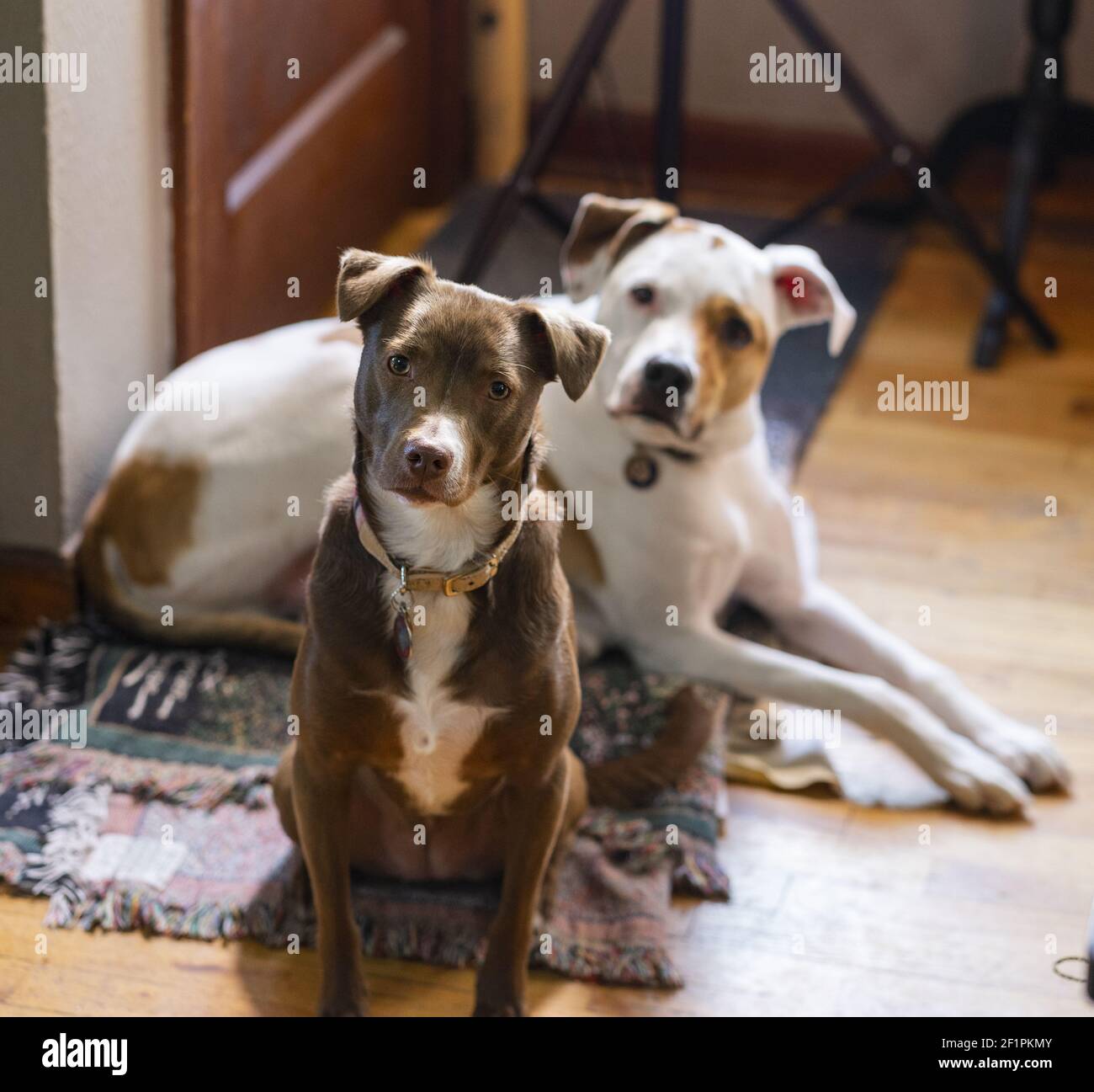 Sit at door hires stock photography and images Alamy