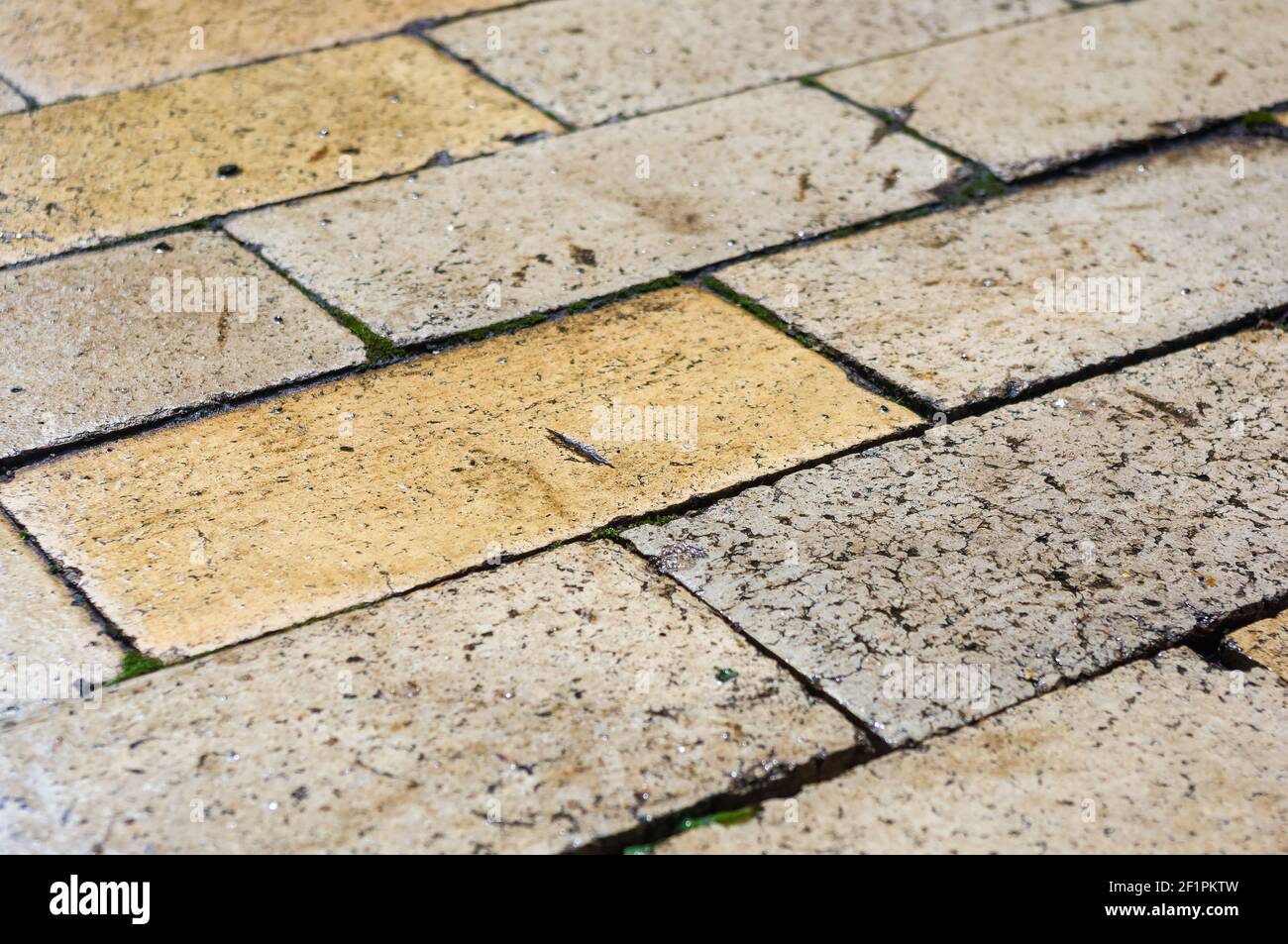 Wet paving slabs shine after rain, close up Stock Photo Alamy