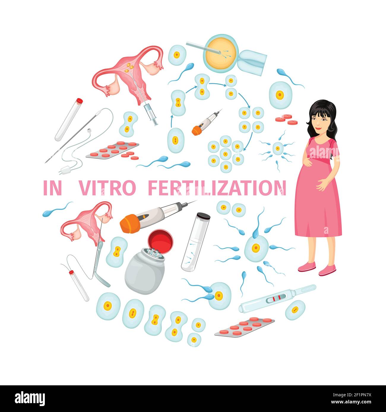 In vitro fertilization cartoon concept with pregnant woman cells female  reproductive system and medical tools vector illustration Stock Vector  Image & Art - Alamy