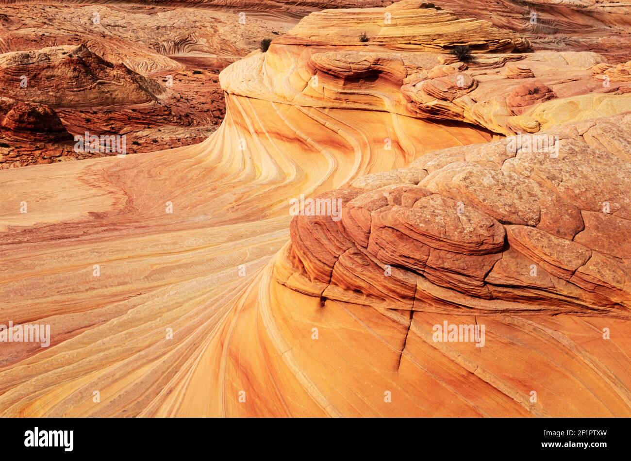 2002 2002 Arizona The Wave - The second wave Swirls and patterns of sandstone fins in coyote buttes north known as the second wave vermillion cliffs wilderness Arizona utah usa. The formation is situated on the slopes of the Coyote Buttes in the Paria Canyon-Vermilion Cliffs Wilderness of the Colorado Plateau. The area is administered by the Bureau of Land Management (BLM) at the Grand Staircase-Escalante National Monument visitor center in Kanab, Utah. The soft sandstone is fragile, especially the ridges and ribbing of the Wave. Arizona, USA ,United States of America Stock Photo