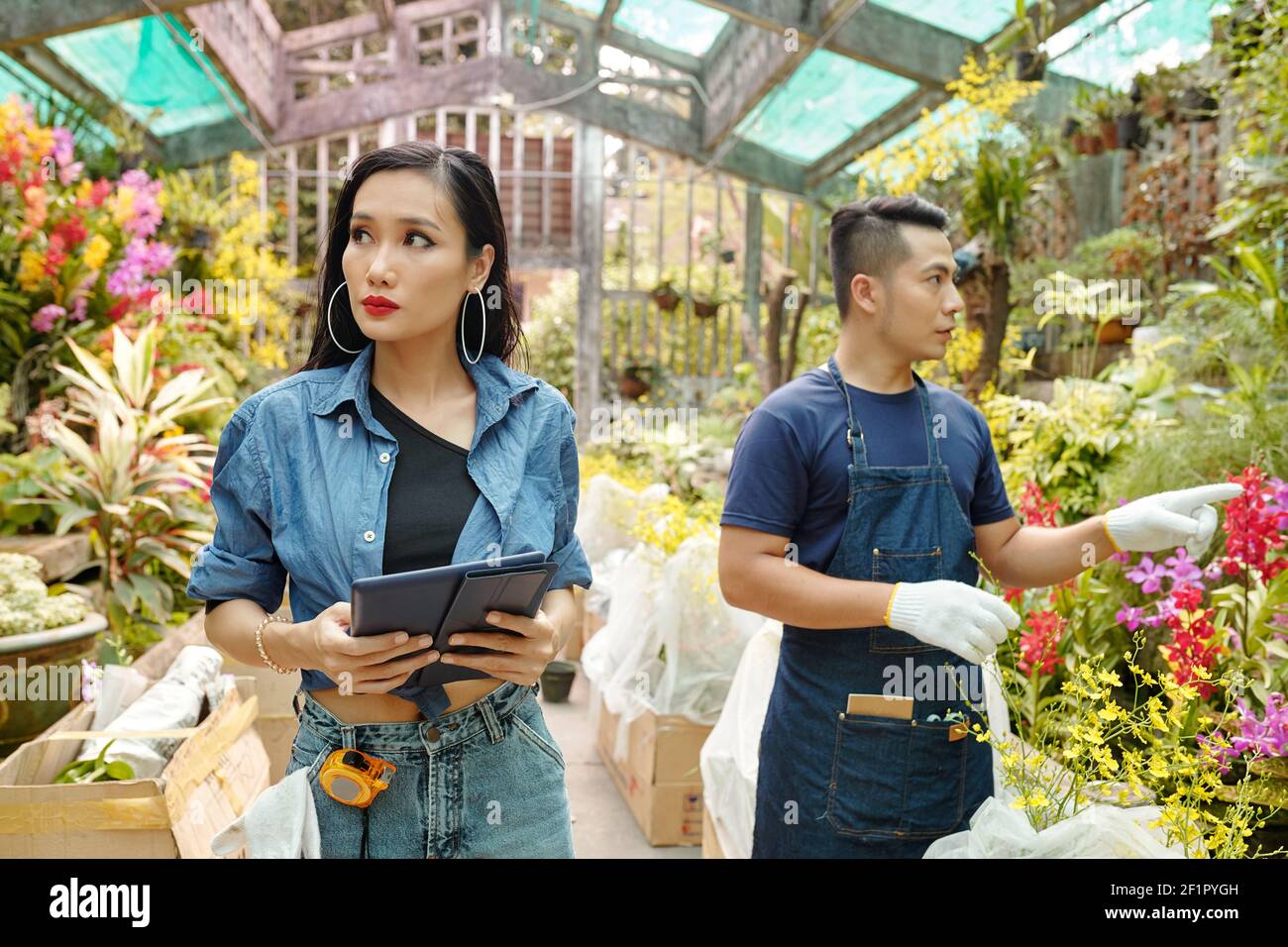 Flower nursery worker helping landscape designer to choose plants for ...