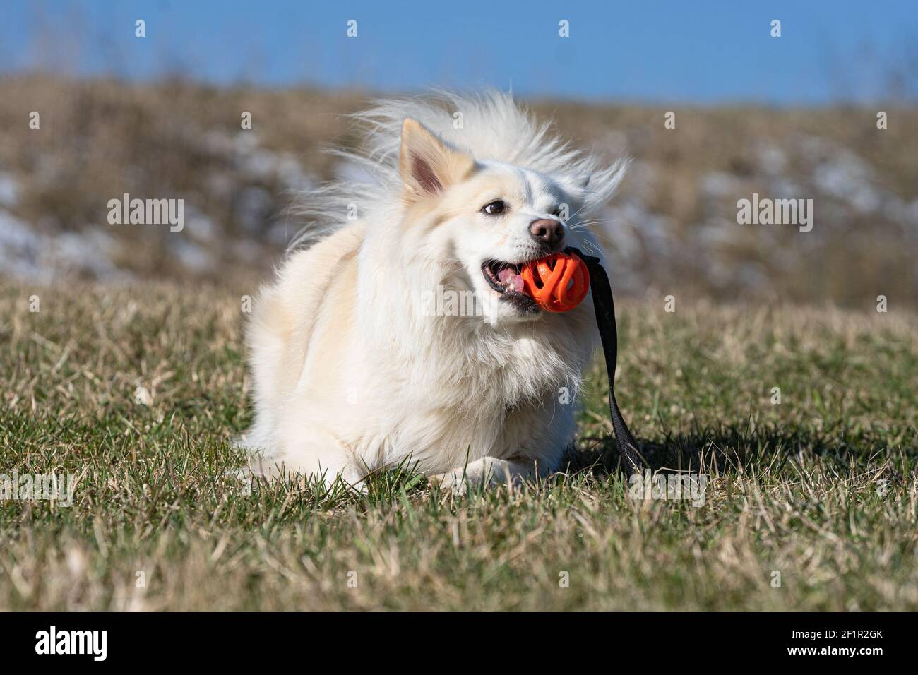 Enjoyment of life Stock Photo