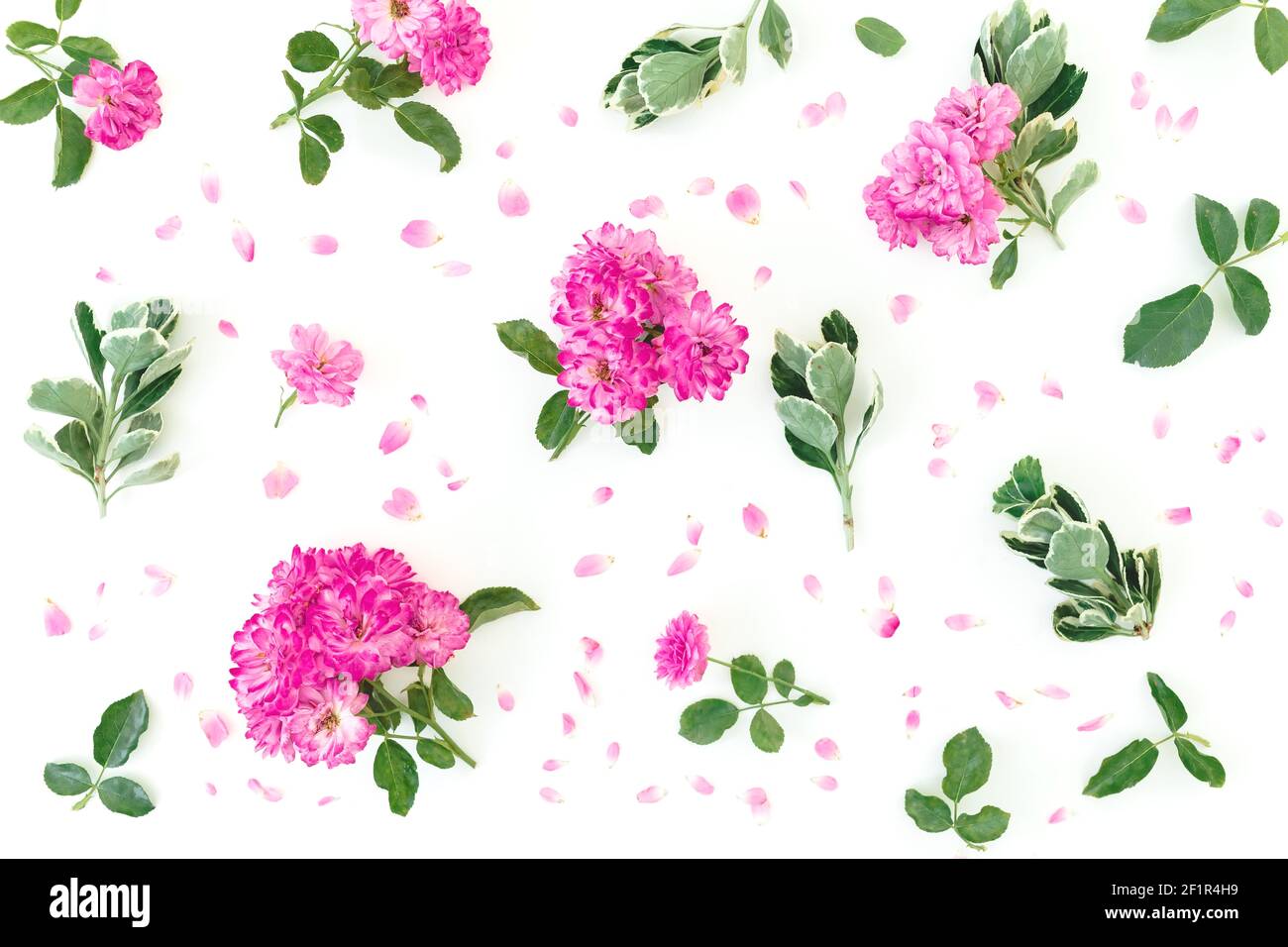 Floral pattern of pink roses flowers and green leaves on white ...