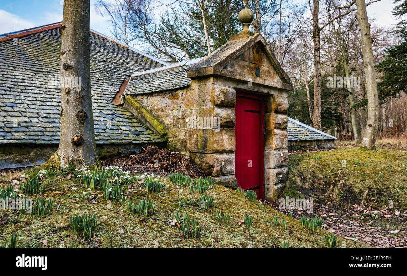 Spring flowers with snowdrops blooming by the old Victorian boathouse, Gosford Estate, East Lothian, Scotland, UK Stock Photo