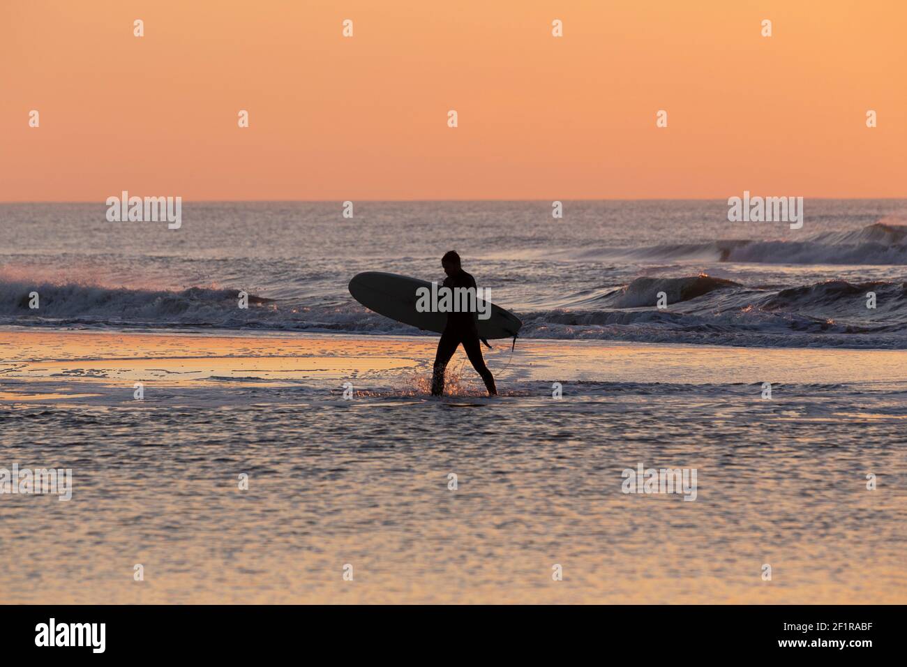 A surfer walking along the shore at sunset Stock Photo