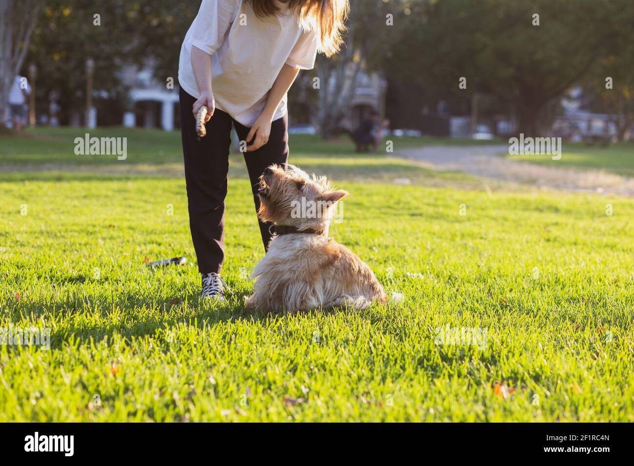 A girl plays with her dog in a Buenos Aires city park Stock Photo