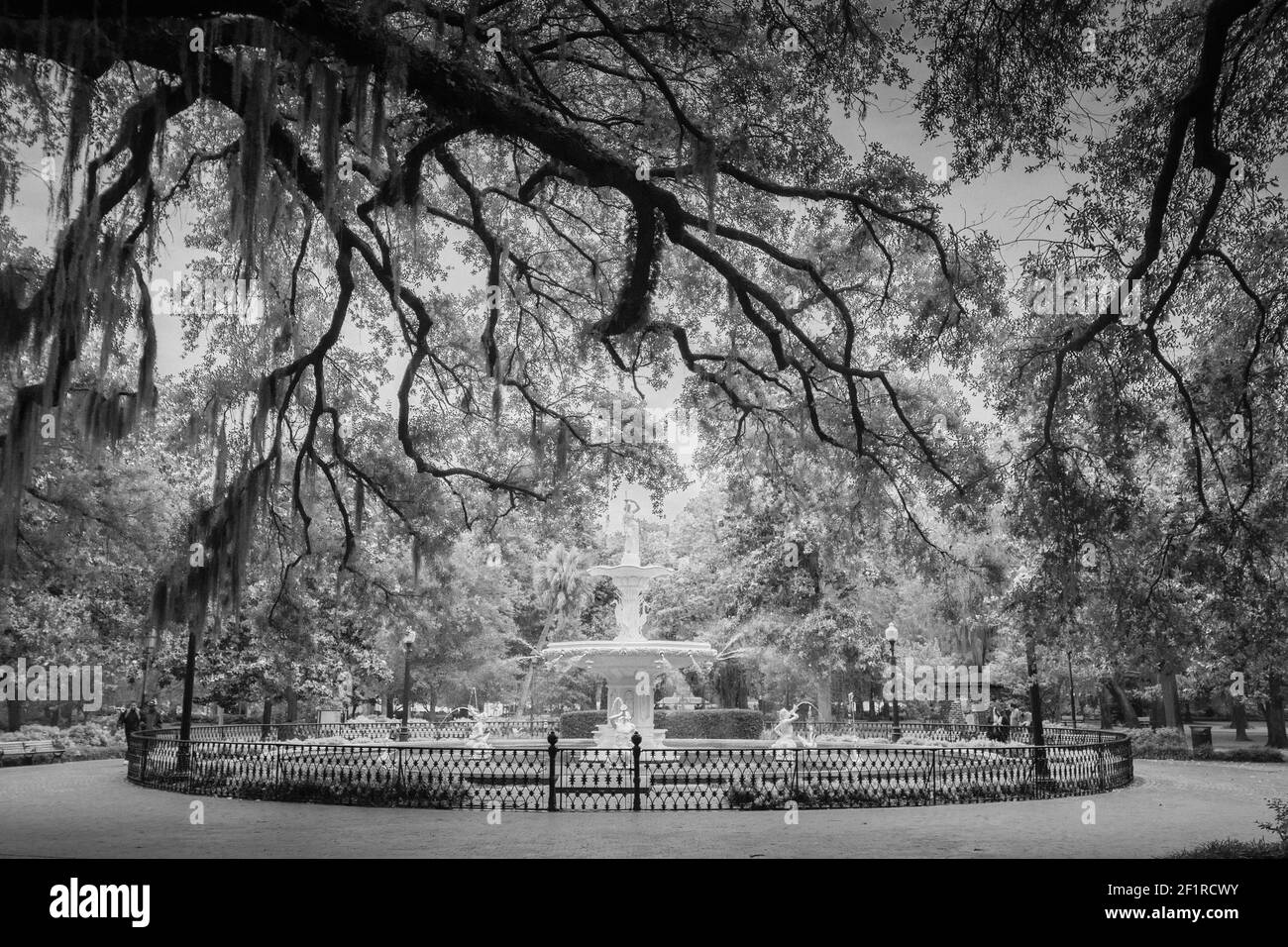 Forsyth Park Fountain in Black & White, Savannah, Georgia, United ...