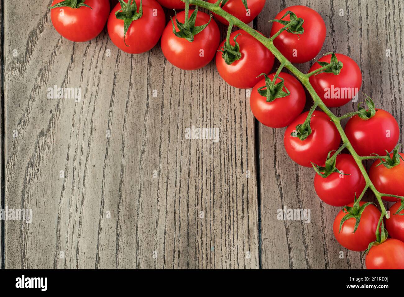 Tomatoes cherry branch Stock Photo