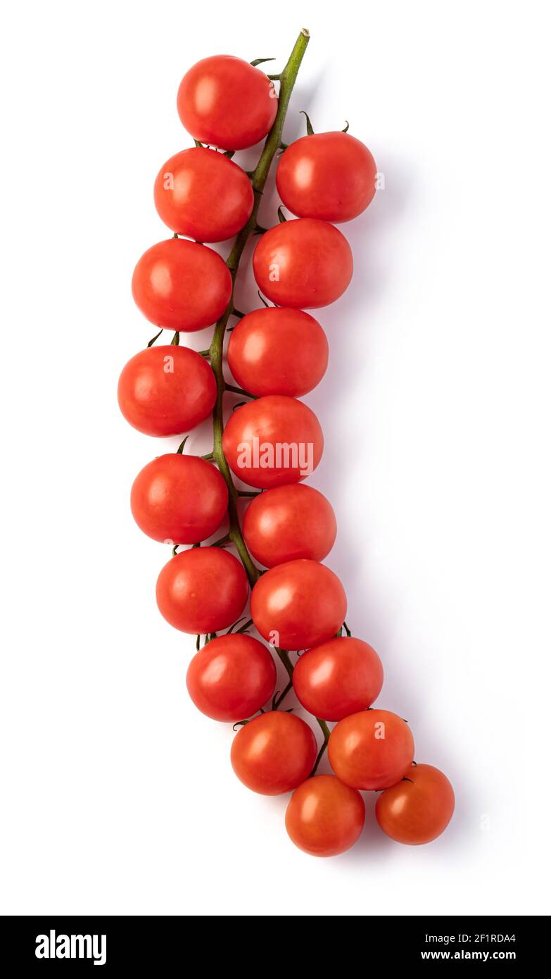 Tomatoes cherry branch on white background Stock Photo
