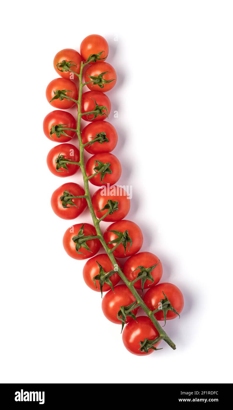 Tomatoes cherry branch on white background Stock Photo