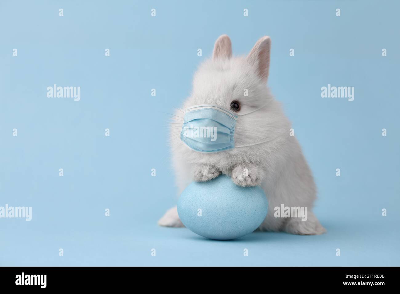 Bunny rabbit mask hi-res stock photography and images - Alamy