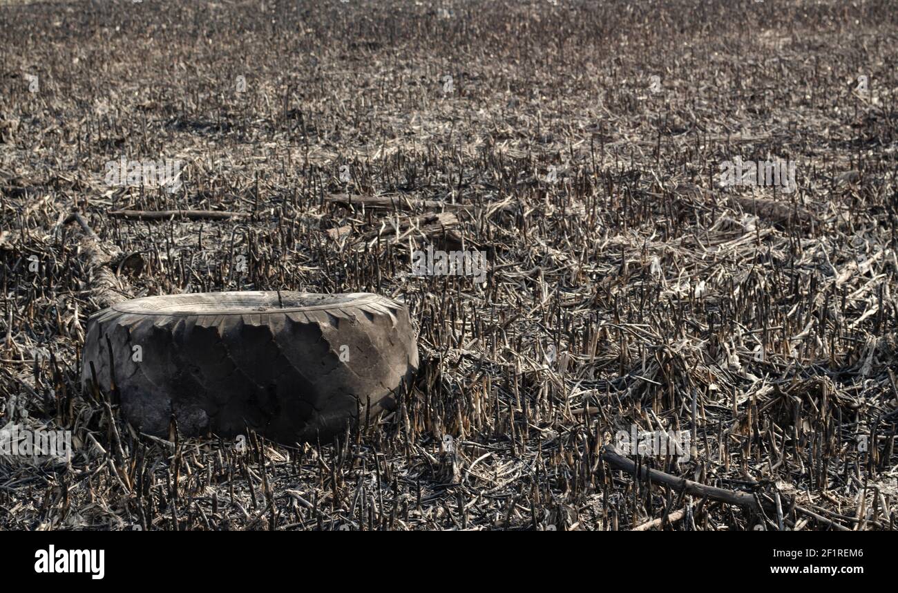 Large tractor tire. Burnt field of grass. Social problems of garbage
