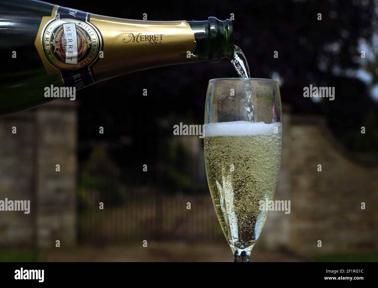 ENGLISH SPARKLING WINE.2/6/04 PILSTON Stock Photo Alamy