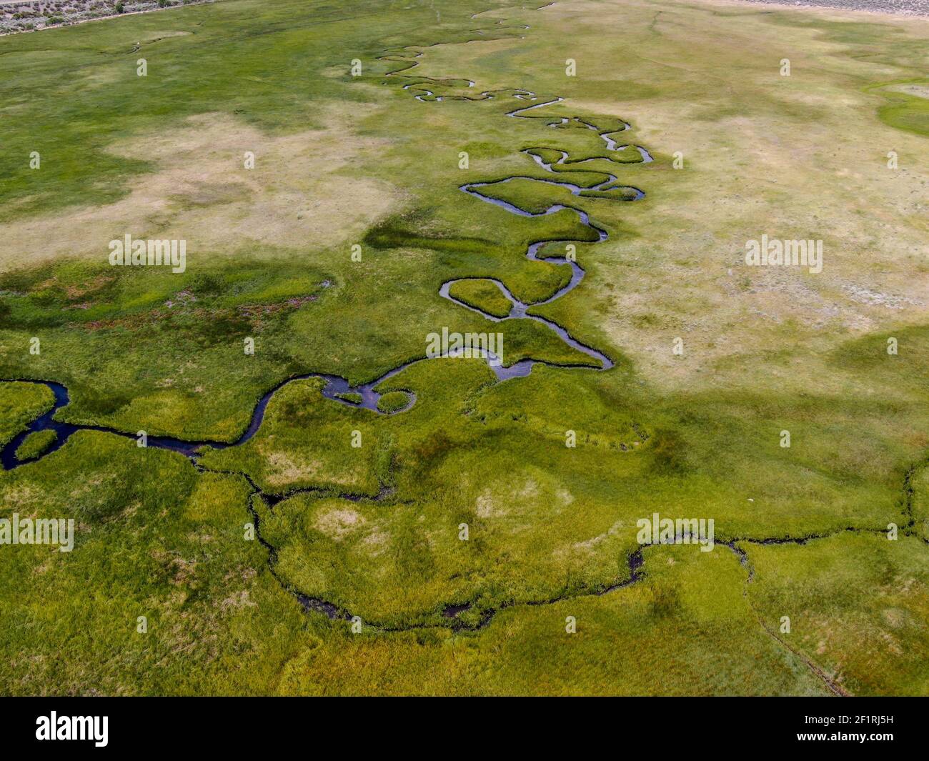 Aerial view of green land and small curve river in Aspen Springs Stock Photo Alamy