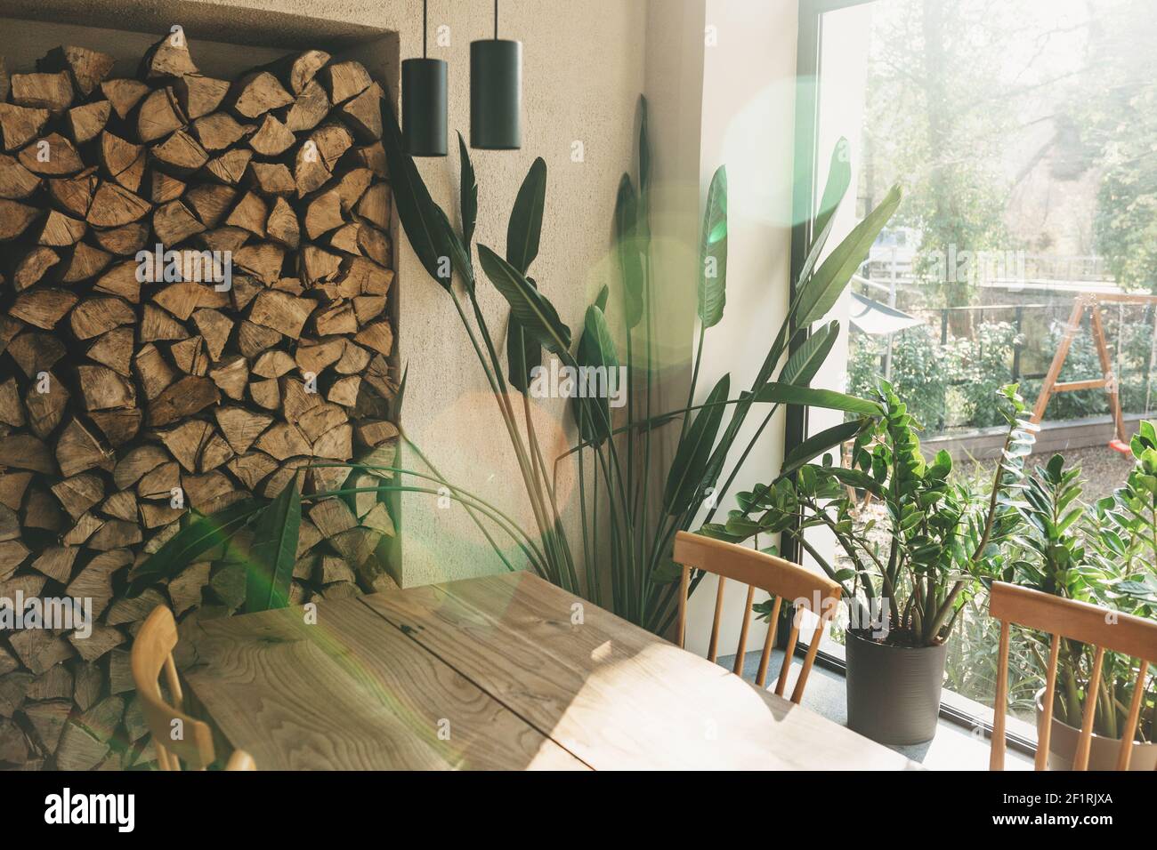 Houseplants next to the window Stock Photo