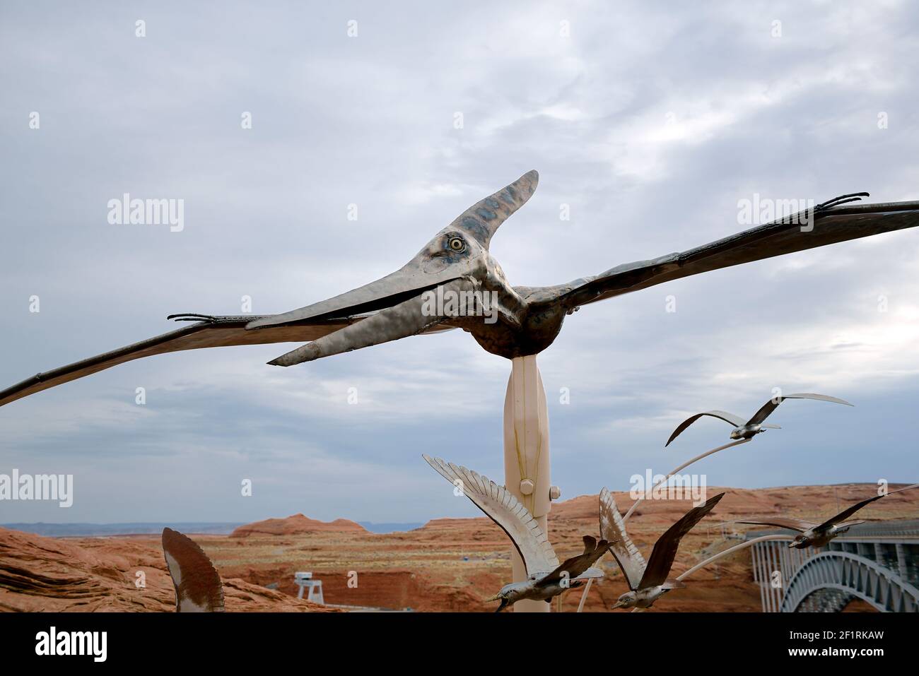 Pterodactylus Life Size Replica Flying Male Open Mouth Dinosaur